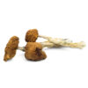 Daddy Long Legs Magic Mushroom for sale