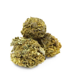 Blueberry Haze Cannabis