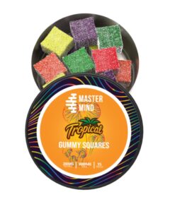 Mastermind – Tropical Gummy Squares